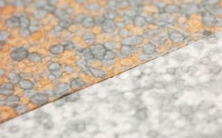 NeoParies and NeoClad