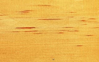 Titanwood