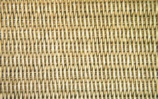 Paper Carpet