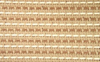 Paper Carpet