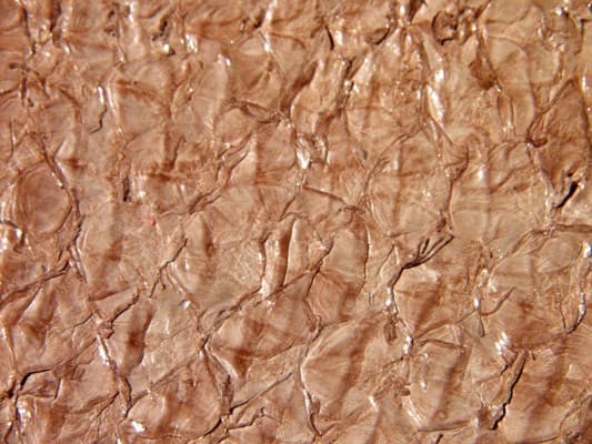 Perch Leather