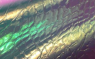 Chameleon Fabrics