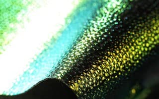 Chameleon Fabrics