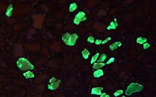 Terrazzo Lumineo
