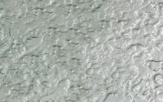 Textured Glass