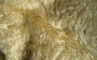 Mohair