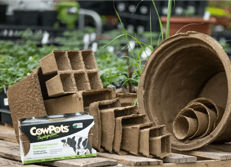 Cowpot