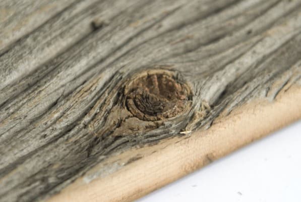 Barnwood