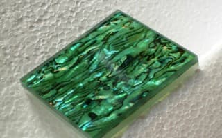 Glass with Shells