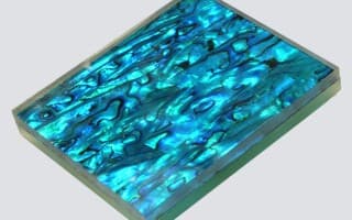 Glass with Shells