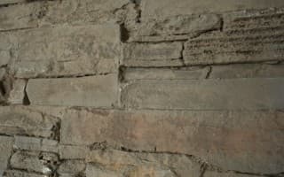 Panespol