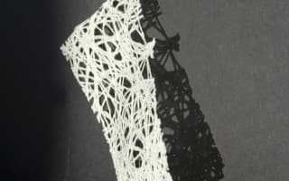 Cocoon Mesh