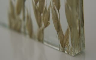 Glass2Style