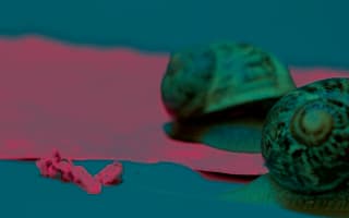 Dejection-molding