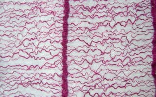 Woven Wool
