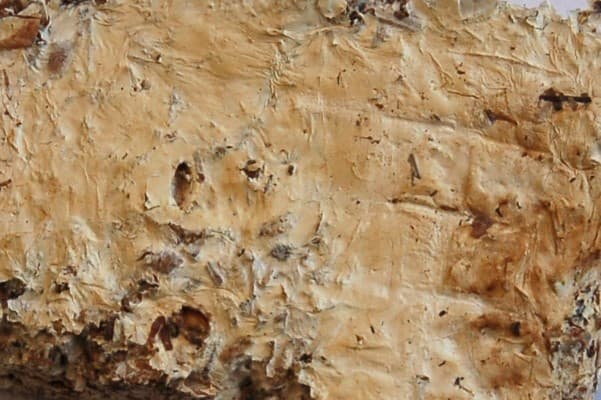 Greensulate