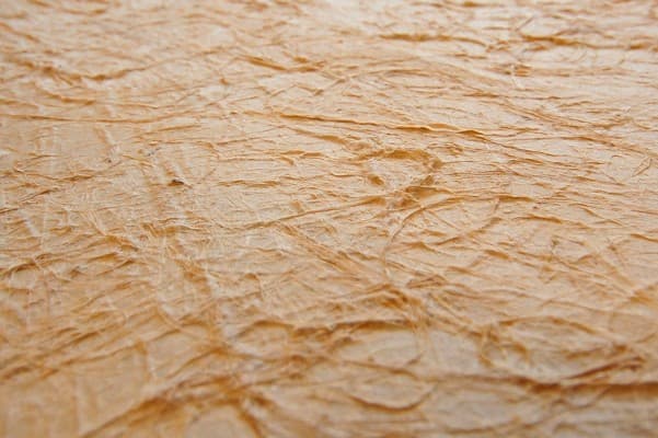 Bamboo Groove & Star Canopy