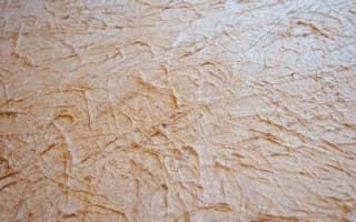 Bamboo Groove & Star Canopy