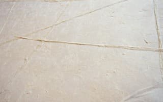 Bamboo Groove & Star Canopy