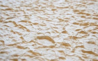 Snowdrift