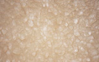 Snowdrift
