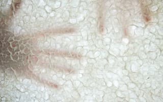 Snowdrift