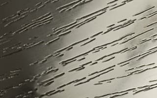 Teakwood Embossing Stainless Steel
