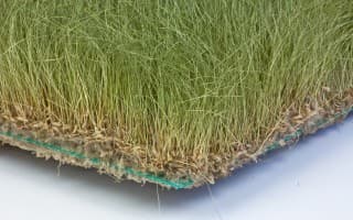 Field