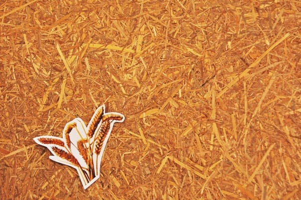Straw Board