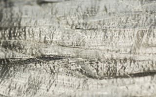 Plastic and natural Raffia