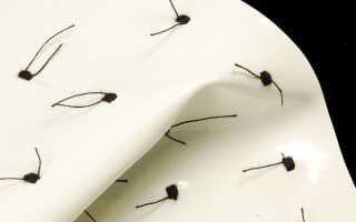 Stitch on PVC