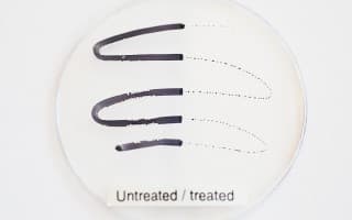 Hydrophobic & Oleophobic Coatings