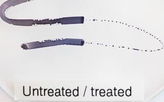 Hydrophobic & Oleophobic Coatings