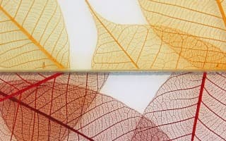 Grass & Leaves