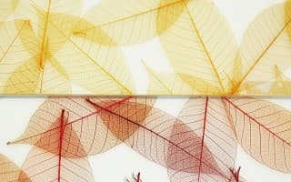 Grass & Leaves