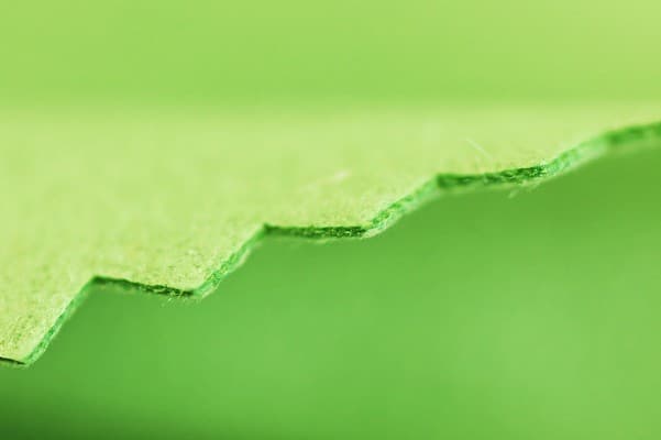 Sensuede