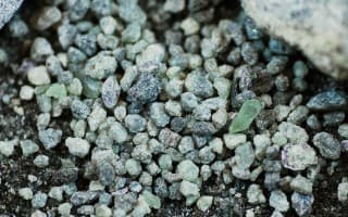 greenSand