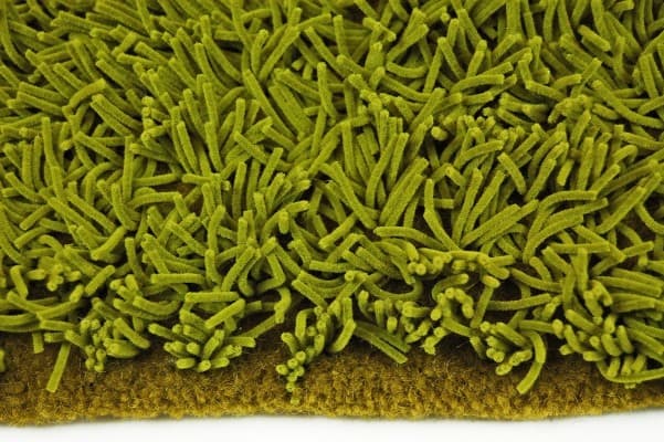 Grass rug