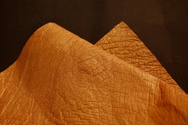 Ostrich Leather