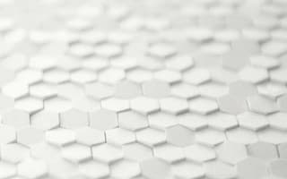 PHENOMENON – Honeycomb