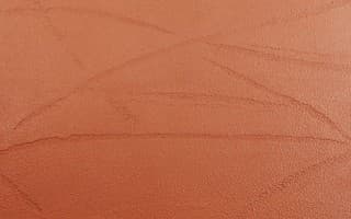 Kabekobo Shikkui Plaster