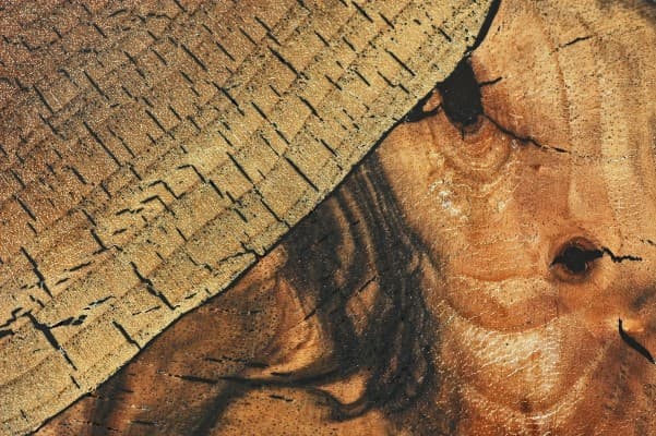 End Grain Veneer
