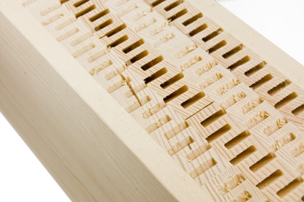 DendroLight Building Block (BB)