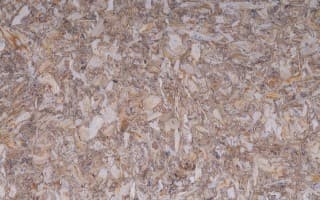 ECOBoard
