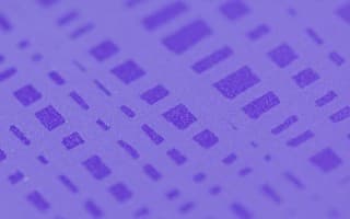 Perspex Impressions Linear