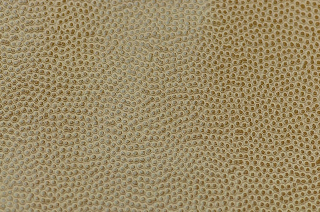 PIURO biodegradable leather