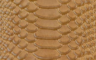 PIURO biodegradable leather