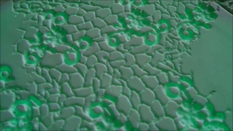 Tex-tiles