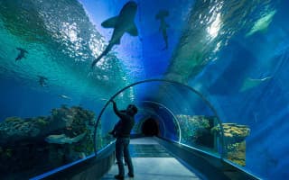 Blue Planet Aquarium