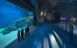 Blue Planet Aquarium